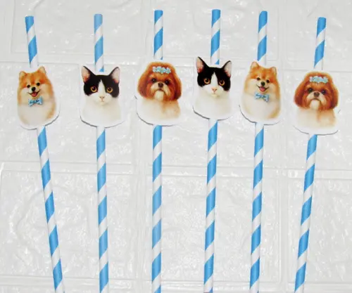 Canudo de Papel com Foto Carinha de Festa Pet