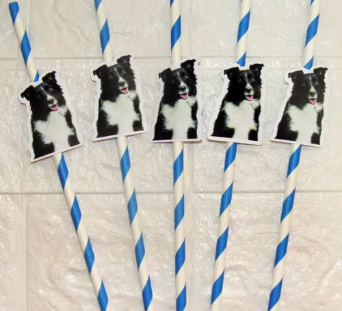 Canudo de Papel com Foto Carinha de Festa Pet