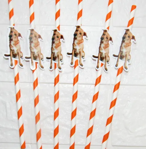 Canudo de Papel com Foto Carinha de Festa Pet