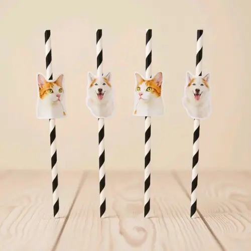 Canudo de Papel com Foto Carinha de Festa Pet