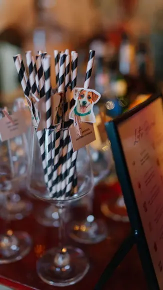 Canudo de Papel com Foto Carinha de Festa Pet