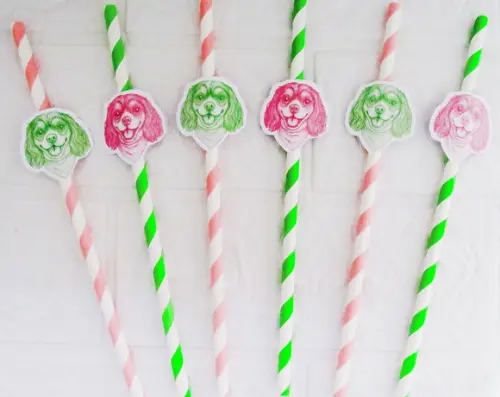 Canudo de Papel com Foto Carinha de Festa Pet