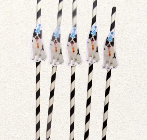 Canudo de Papel com Foto Carinha de Festa Pet
