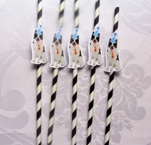 Canudo de Papel com Foto Carinha de Festa Pet