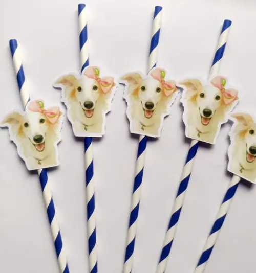 Canudo de Papel Personalizado Cachorrinha