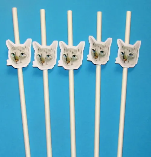 Canudo de Papel Personalizado Gatinho