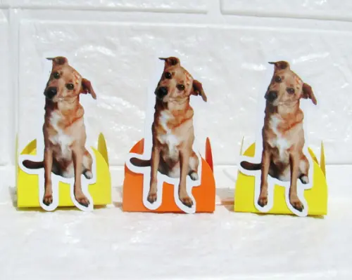 Forminha para Docinhos Carinha de Festa Pet