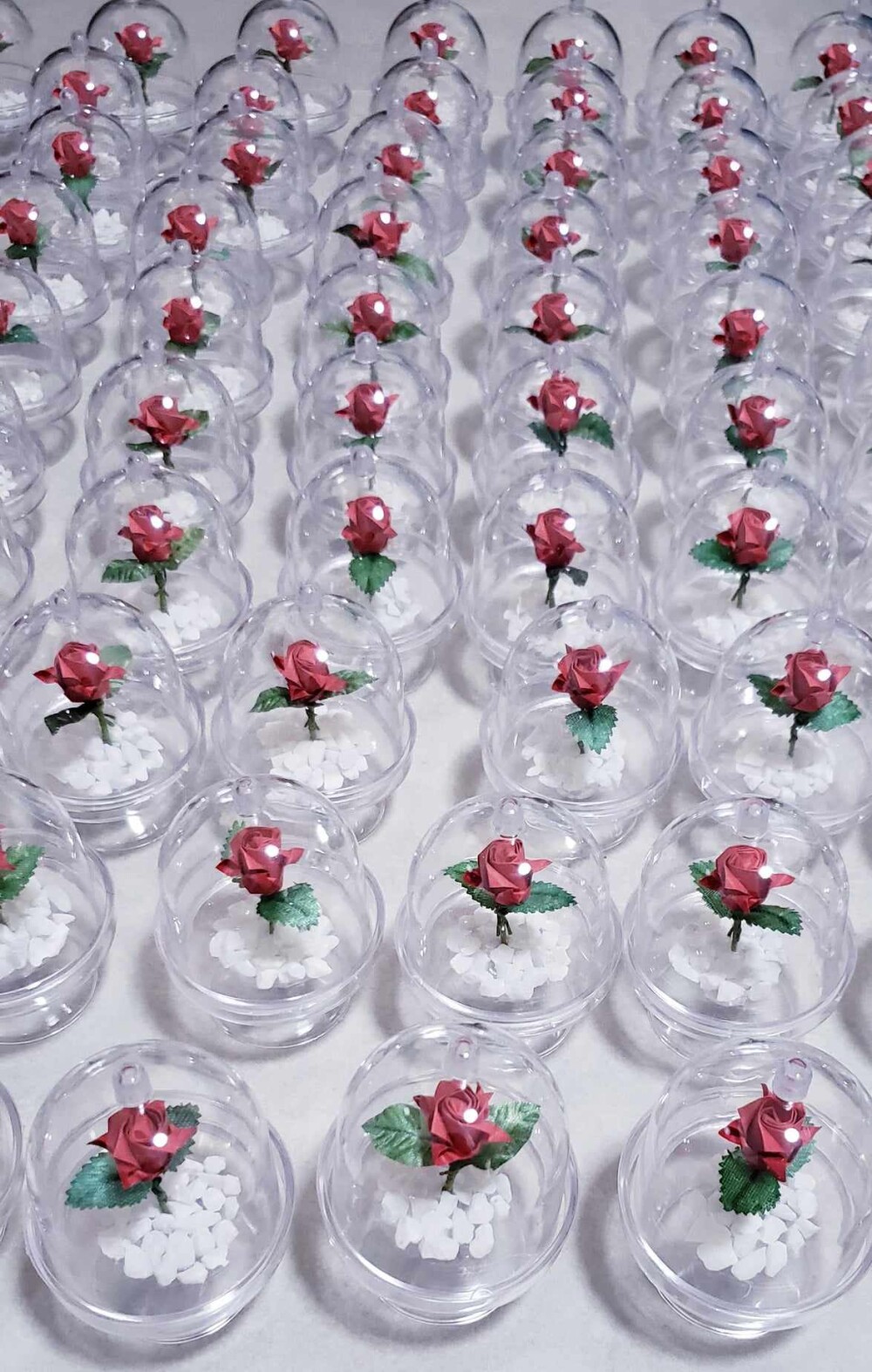 Rosa
