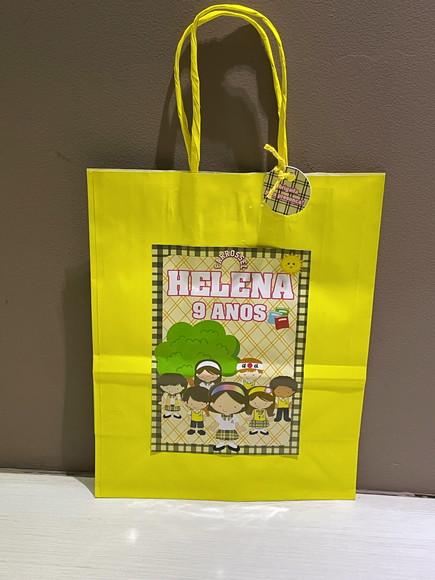 Kit com 10 Sacolas