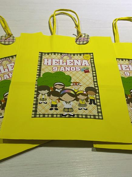 Kit com 10 Sacolas