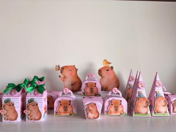 Kit Festa Capivara 20 Caixas + 2 Displays