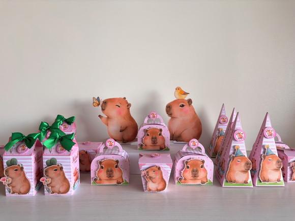 Kit Festa Capivara 20 Caixas + 2 Displays