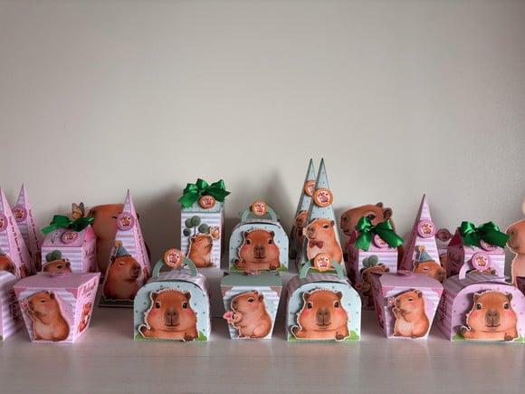 Kit Festa Capivara com 30 Caixas