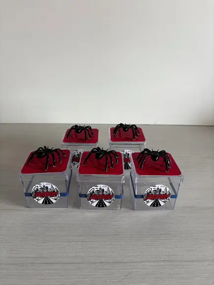 Caixinha de Acrílico Homem Aranha