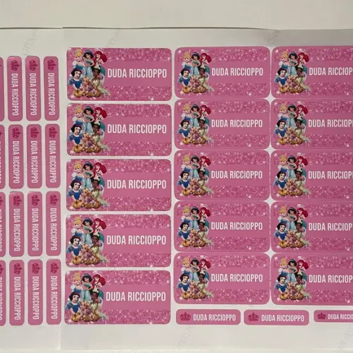 Etiqueta Escolar Princesas (pacote com 80)