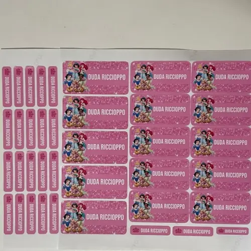 Etiqueta Escolar Princesas (pacote com 80)