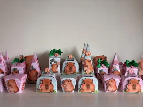 Kit Festa Capivara com 30 Caixas