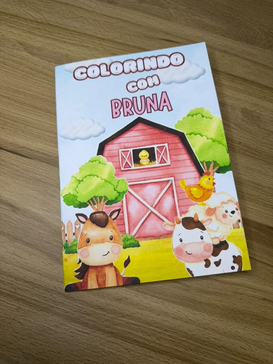 Livrinho de Colorir Personalizado Fazendinha Menina | Lembrancinh