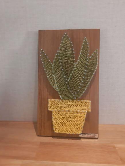 Quadro Cacto Suculenta em String Art