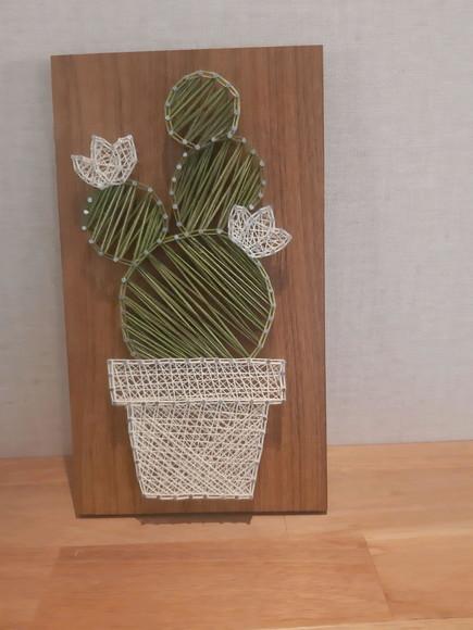 Quadro Cacto Suculenta em String Art