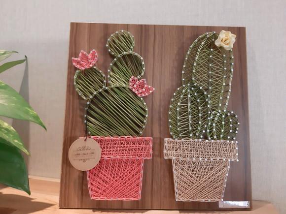 Quadro cactos