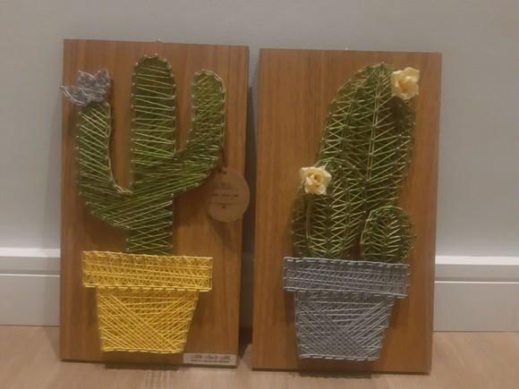 Quadro Dupla de Cactus/ Suculenta