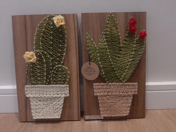 Quadro Dupla de Cactus/ Suculenta