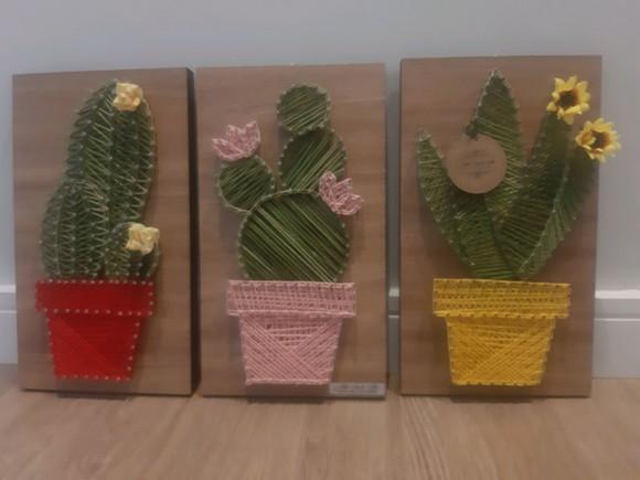 Quadro Trio de Cactos Suculentas