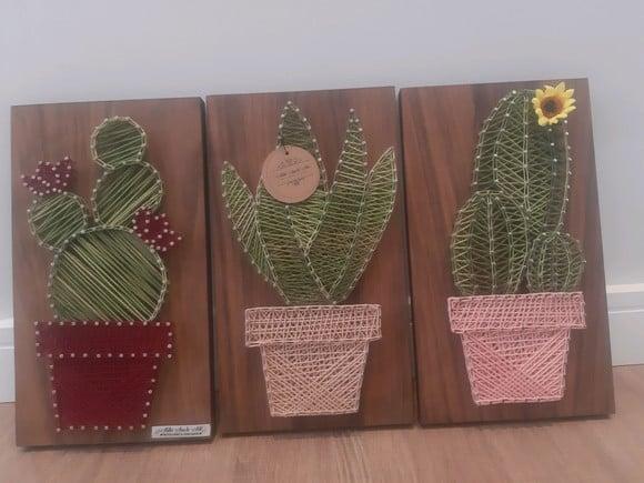 Quadro Trio de Cactos Suculentas