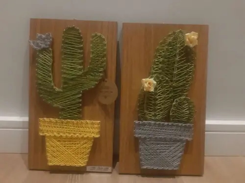 Quadro Dupla de Cactus/ Suculenta