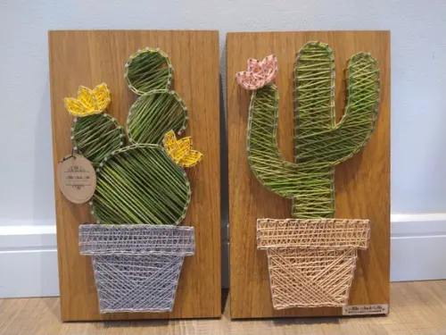 Quadro Dupla de Cactus/ Suculenta