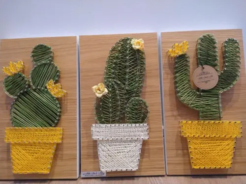 Quadro Trio de Cactos Suculentas