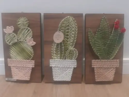 Quadro Trio de Cactos Suculentas