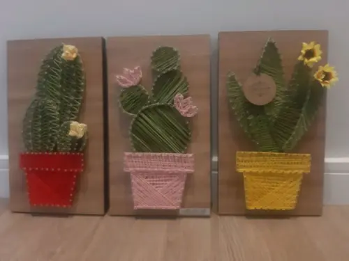 Quadro Trio de Cactos Suculentas