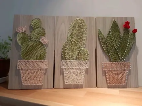 Quadro Trio de Cactos Suculentas