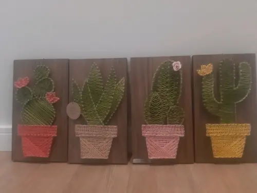 Quarteto de Cactus e Suculentas em String Art Suculentas