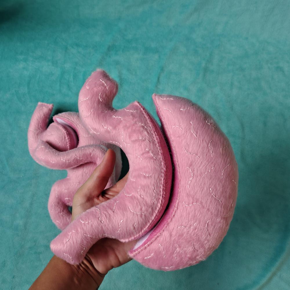 Kit Estômago Cirurgia Bariátrica Sleeve e Bypass de Pelúcia