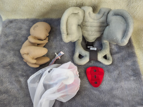 kit Bebê e Pelve Didática de Tecido e Pelúcia