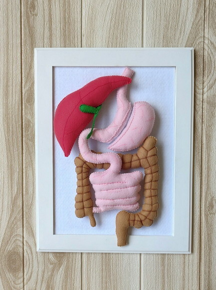 Kit Maquete Cirurgia Bariátrica Sleeve e Bypass de Feltro