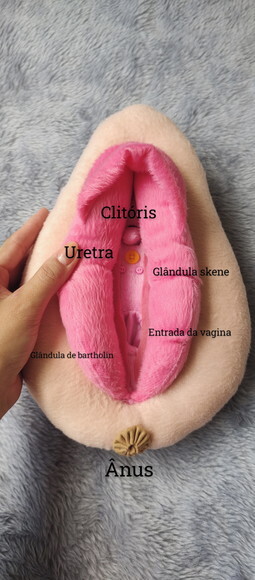 Kit Vulva e Órgão Masculino Didático de Pelúcia