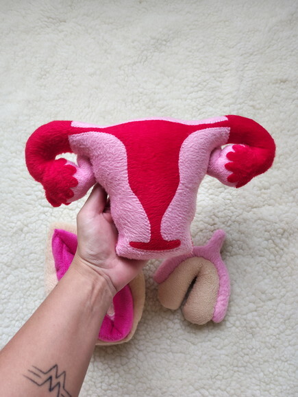 Kit Utero e Vulva Didática de Pelúcia Velboa