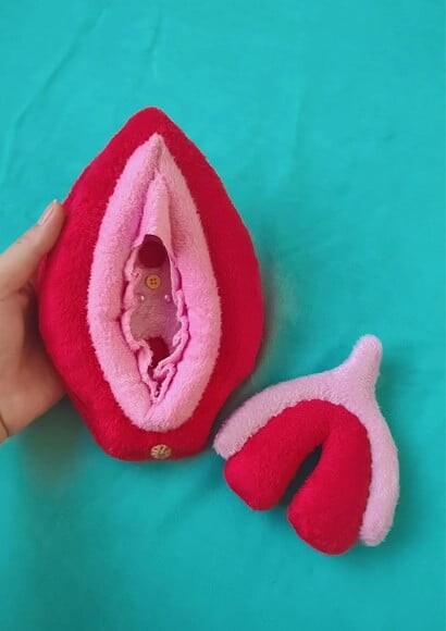 Vulva Didatica de pelúcia  (modelo2)