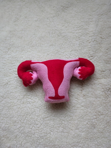Utero Didático de Pelúcia
