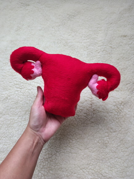 Utero Didático de Pelúcia