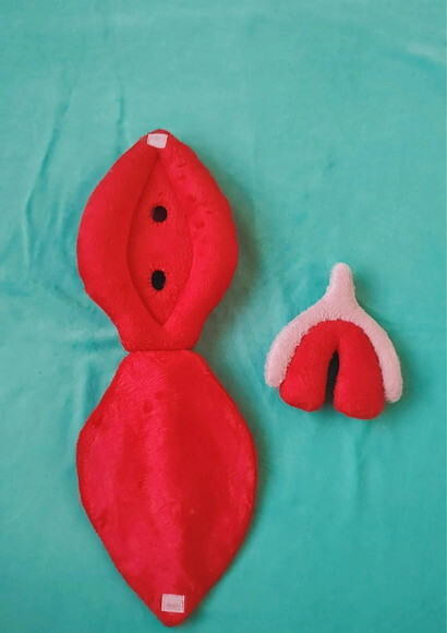 Vulva Didatica de pelúcia  (modelo2)