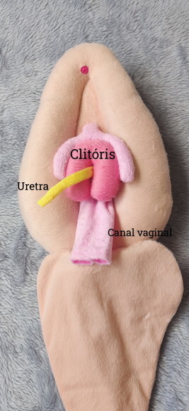 Vulva Didatica de Pelúcia grande 30cm