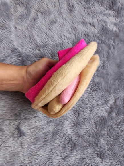 Vulva Didática de Pelúcia(modelo1)