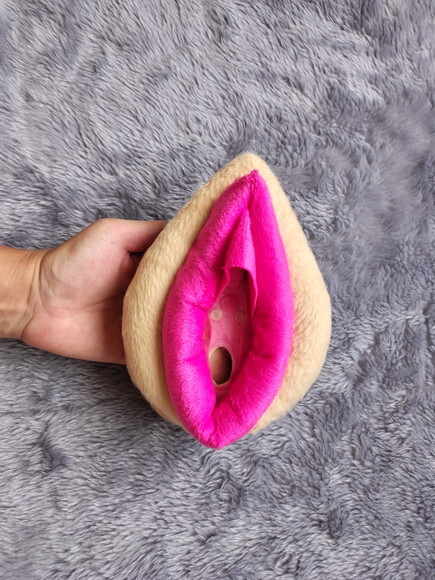 Vulva Didática de Pelúcia(modelo1)