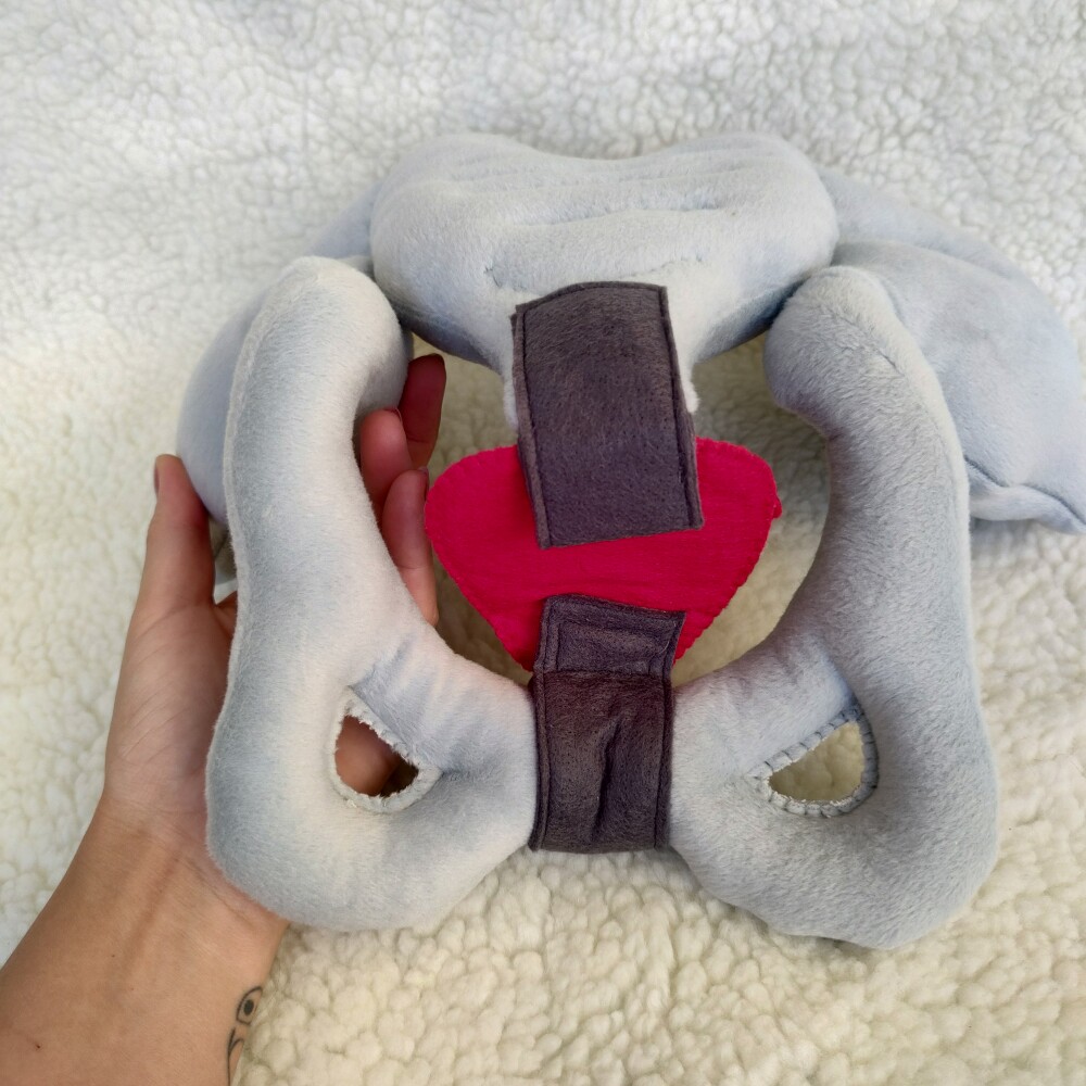 Pelve anatômica didática de pelúcia | saude feminina