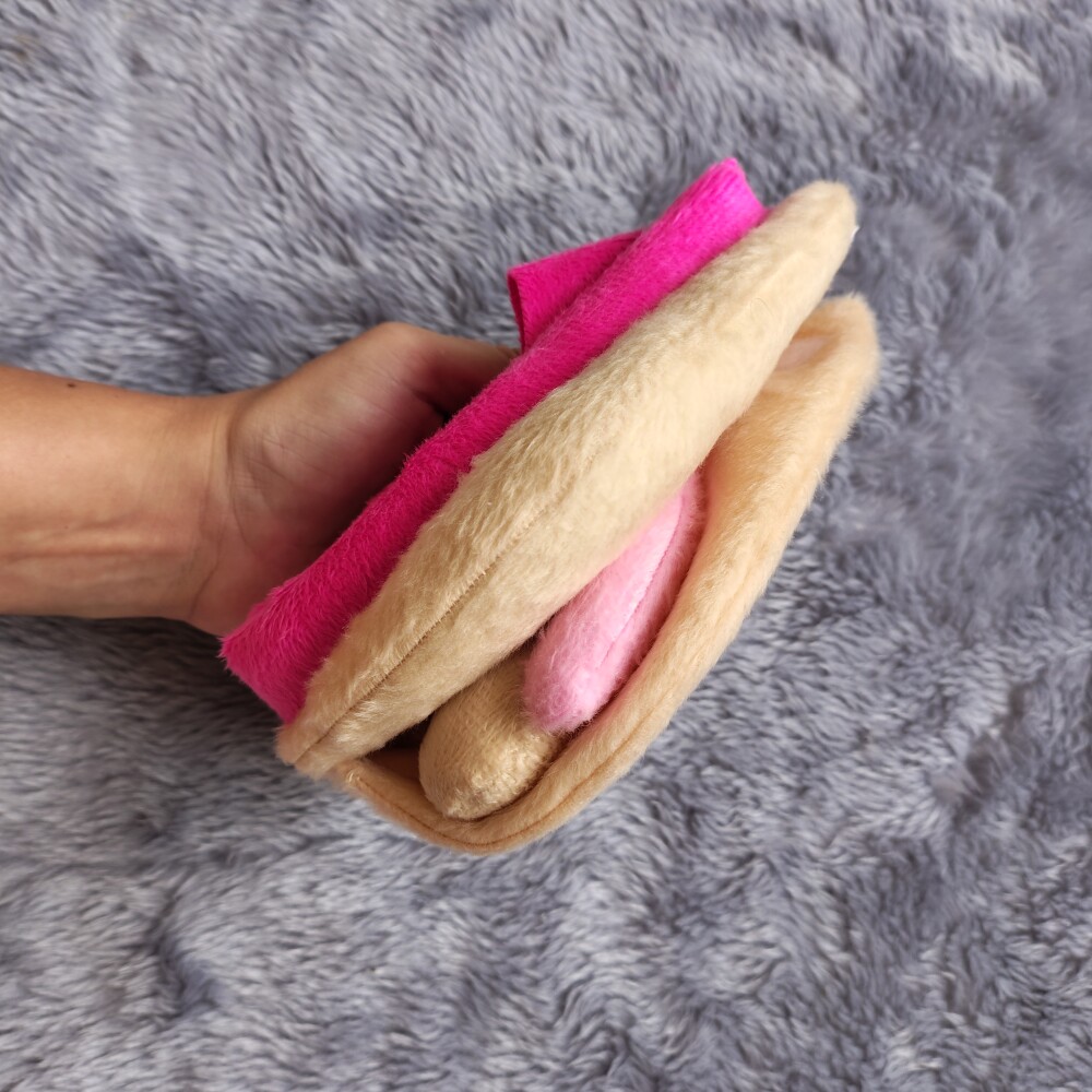 Kit Anatômico Vulva Clássica e órgão masculini  aducativo cor